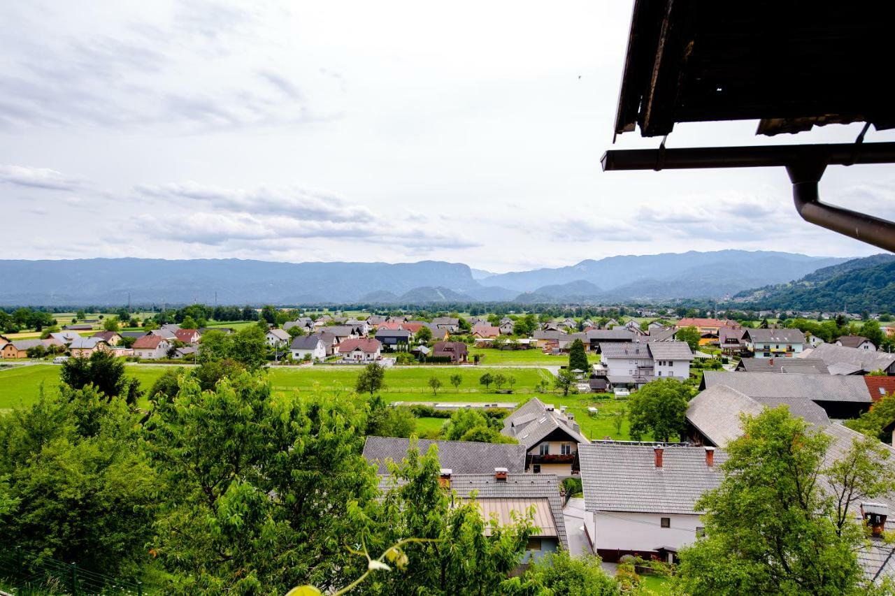 Apartment With View Zirovnica Eksteriør billede